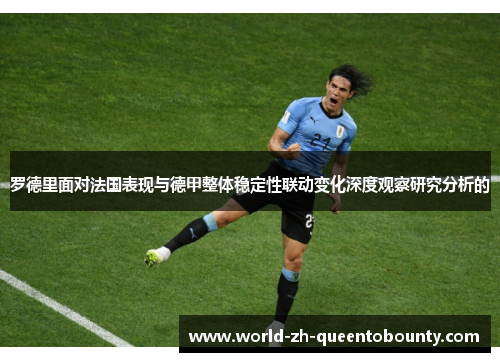 罗德里面对法国表现与德甲整体稳定性联动变化深度观察研究分析的
