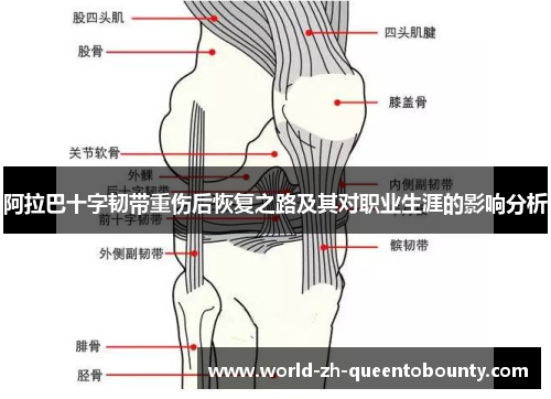 阿拉巴十字韧带重伤后恢复之路及其对职业生涯的影响分析